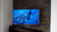 Tv Led / SmarTV / Lcd + Soporte movil